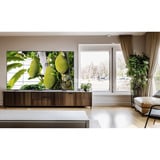 TCL 65T8C, QLED TV Nero