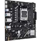 ASUS PRIME A620AM-K, Scheda madre 