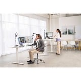 Kensington Supporto telescopico per scrivania A1010 Nero, MIL-STD-810H Method 504.3 Contamination by Fluids, 205 mm, 290 mm, 45 mm, 930 g, 220 mm