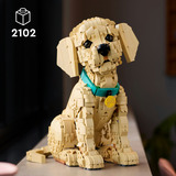 LEGO Icone cucciolo di Golden Retriever, Giochi di costruzione 