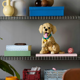 LEGO Icone cucciolo di Golden Retriever, Giochi di costruzione 