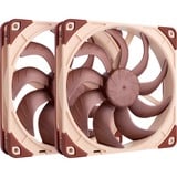 Noctua NF-A14x25 G2 PWM Sx2-PP, Ventola marrone/Beige