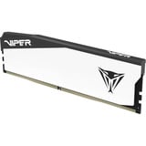 Patriot DIMM 16 GB DDR5-5600, Memoria bianco