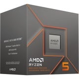 AMD Ryzen™ 5 8500G, Processore boxed