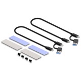 DeLOCK Custodia esterna USB Type-C Dual Combo per 2 x M.2 N, Disk enclosure grigio