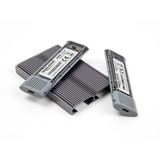 DeLOCK Custodia esterna USB Type-C Dual Combo per 2 x M.2 N, Disk enclosure grigio