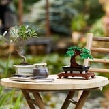 LEGO Botanicals 10281 Albero Bonsai, Piante Artificiali, Decorazioni Casa, Hobby Creativi, Idee Regalo Adulti, Donna o Uomo, Giochi di costruzione Piante Artificiali, Decorazioni Casa, Hobby Creativi, Idee Regalo Adulti, Donna o Uomo, Set da costruzione, 18 anno/i, Plastica, 878 pz, 764 g
