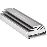 SilverStone SST-TP04, Dissipatore di calore argento