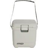 Coleman PRO 25QT, Scatola cool beige