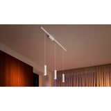 Philips Hue Perifo kit con 3 lampade a sospensione, Lampada bianco, Philips Hue White and Color ambiance Perifo kit con 3 lampade a sospensione, Luce a sospensione intelligente, Bluetooth/Zigbee, Bianco, LED, Metallo, Sintetico, Lampadina/e non sostituibile/i