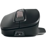 CHERRY Stream Mouse ULTIMATE Nero/rame