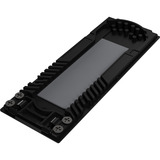 ASUS ProArt PA40SU SSD Enclosure, Disk enclosure Nero