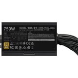 Cooler Master MWE 750 V3 Black, Alimentatore PC Nero