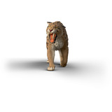 Schleich Dinosauri Tigre dai Denti a Sciabola, Gioco figura 5 anno/i, Multicolore, Plastica