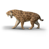 Schleich Dinosauri Tigre dai Denti a Sciabola, Gioco figura 5 anno/i, Multicolore, Plastica