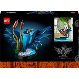 LEGO ICONS 10331 Martin Pescatore, Kit di Modellismo per Adulti, Idea Regalo per Arredamento Casa o Ufficio, Hobby Creativo, Giochi di costruzione Kit di Modellismo per Adulti, Idea Regalo per Arredamento Casa o Ufficio, Hobby Creativo, Set da costruzione, 18 anno/i, Plastica, 834 pz, 820 g