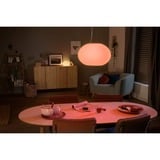 Philips Hue Illuminazione a sospensione Flourish, Luce LED bianco, Philips Hue White and Color ambiance Illuminazione a sospensione Flourish, Luce a sospensione intelligente, Bluetooth/Zigbee, Bianco, LED, Vetro, Lampadina/e non sostituibile/i