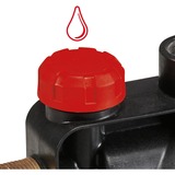 EINHELL GC-GP 6040 ECO 600 W 3,6 bar 4000 l/h, Pompa rosso/Nero, 600 W, AC, 3,6 bar, 4000 l/h, Antigelo, Nero, Rosso