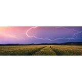 Ravensburger Puzzle Panorama - Temporale estivo 