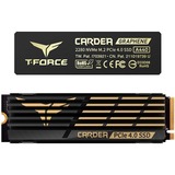Team Group CARDEA A440 1 TB, Disco a stato solido Nero/Oro