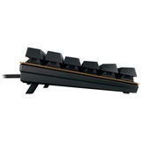 CHERRY KC 200 MX tastiera Universale USB QWERTZ Tedesco Nero, Bronzo Nero/Bronzo, Full-size (100%), Cablato, USB, Interruttore a chiave meccanica, QWERTZ, Nero, Bronzo