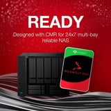 Seagate IronWolf Pro NAS 2 TB CMR, Hard-disk 