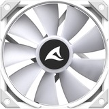 Sharkoon S80 RGB White AIO 240mm, Raffreddamento ad acqua bianco