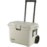 Coleman PRO 55QT, Scatola cool beige
