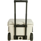 Coleman PRO 55QT, Scatola cool beige