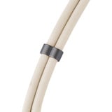 Intenso Cordino per cellulare e cavo di ricarica/dati beige