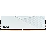 ADATA DIMM 16 GB DDR5-6400, Memoria bianco, 16 GB, 1 x 16 GB, DDR5, 6400 MHz, 288-pin DIMM