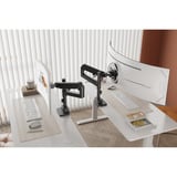 Digitus Supporto singolo per monitor, 57", 27 kg, Base per monitor Nero