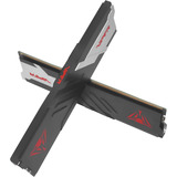 Patriot DIMM 32 GB DDR5-6000 (2x 16 GB) Kit doppio, Memoria Nero