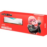 ADATA LANCER RGB memoria 32 GB 1 x 32 GB DDR5 288-pin DIMM bianco, 32 GB, 1 x 32 GB, DDR5, 6400 MHz, 288-pin DIMM
