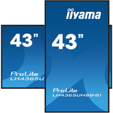 iiyama ProLite LH4365UHSB-B1, Public Display Nero