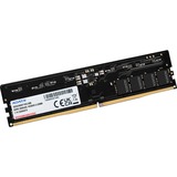 ADATA Gold memoria 32 GB 1 x 32 GB DDR5 5600 MT/s 288-pin DIMM Nero, 32 GB, 1 x 32 GB, DDR5, 288-pin DIMM