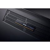 Kingston FURY FURY 16GB 5600MT/s DDR5 ECC Reg CL28 DIMM Renegade Pro EXPO, Memoria Nero, 16 GB, 1 x 16 GB, DDR5, 288-pin DIMM, Nero