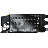 PNY GeForce RTX 5080 ARGB OC, Scheda grafica 