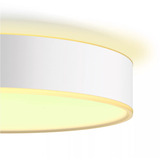 Philips Hue White Ambiance Devere Lampada da soffitto M, Luce LED argento