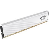 ADATA DIMM 32 GB DDR5-6000, Memoria bianco