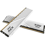 ADATA DIMM 32 GB DDR5-6000, Memoria bianco