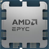AMD EPYC™ 4545P, Processore Vassoio