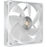 Ocypus Delta L24 ARGB V2, Raffreddamento ad acqua bianco