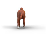 Schleich Horse Club Purosangue Inglese Stallone, Gioco figura 