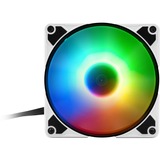 Sharkoon SilentStorm 120 PWM Case per computer Ventilatore 12 cm Trasparente 1 pz, Ventola Ventilatore, 12 cm, 400 Giri/min, 1400 Giri/min, 20,4 dB, 93,6 m³/h