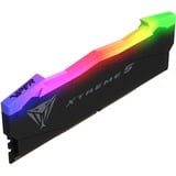 Patriot DIMM 32 GB DDR5-7600 (2x 16 GB) Dual-Kit, Memoria Nero