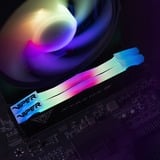 Patriot DIMM 32 GB DDR5-7600 (2x 16 GB) Dual-Kit, Memoria Nero