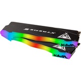 Patriot DIMM 48 GB DDR5-8000 (2x 24 GB) Kit doppio, Memoria Nero