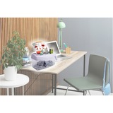 Peach PS300-21 distruggi documenti Triturazione incrociata 21,6 cm Trasparente, Bianco Triturazione incrociata, 21,6 cm, 3.5 x 40 mm, 4 L, 15 fogli, 1 fogli