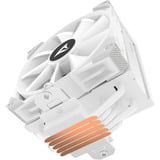 Sharkoon A50 RGB, raffreddamento CPU  bianco